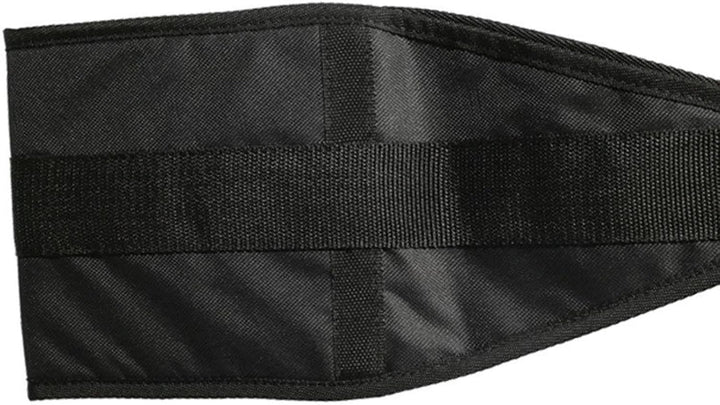 Premium Abdominal Hanging Straps – ABS Training Support for Pull-ups & Core Muscle Workout – Leg Raises, Vertical Crunches, & Sit-ups – Adjustable Nylon Equipment for Fitness